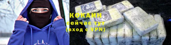 хмурый Елизово
