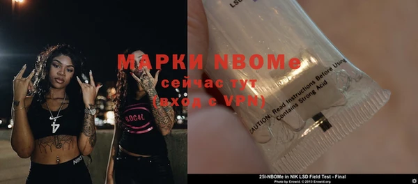 хмурый Елизово