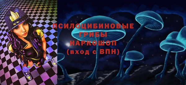 ешки Дмитров