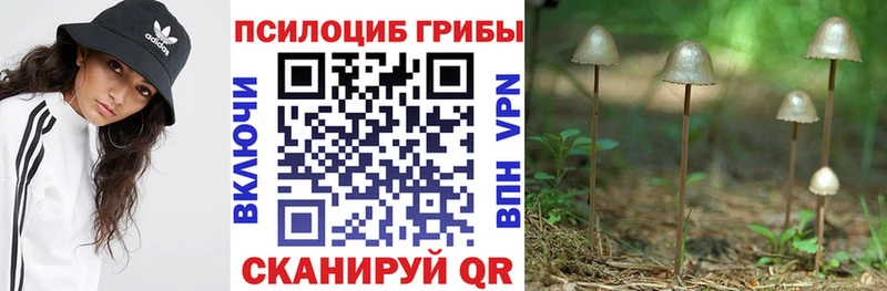 Псилоцибиновые грибы MAGIC MUSHROOMS  Купить где  Лангепас 